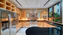 Ardmore Park (D10), Condominium #568363901